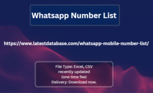 Whatsapp Number List