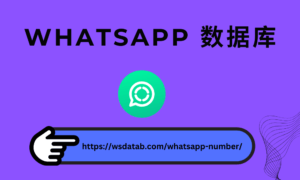 WhatsApp 号码 