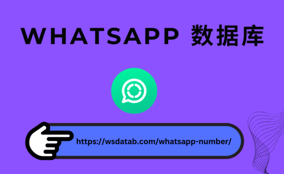 WhatsApp 号码